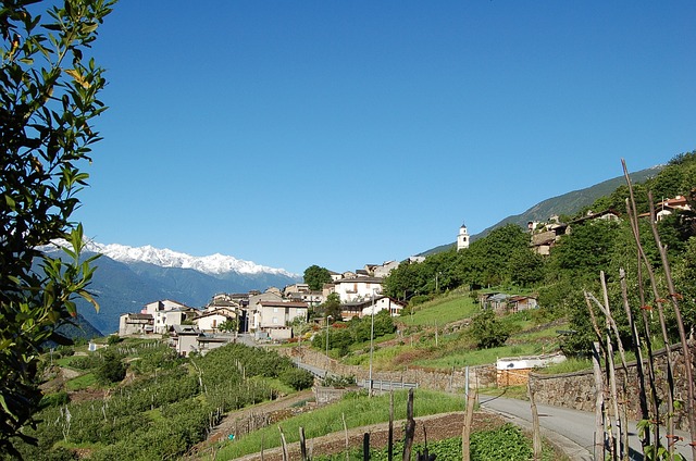 Tirano