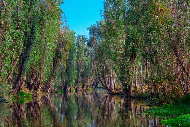 Xochimilco