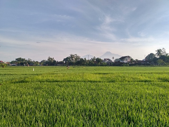 Yogyakarta
