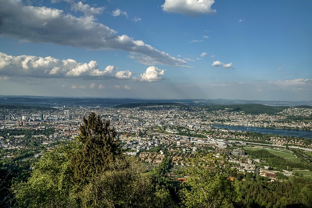 Zürih
