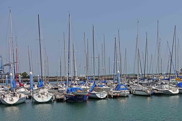 Shimizu Limanı