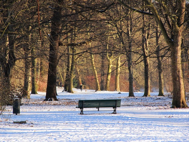 Tiergarten Parkı