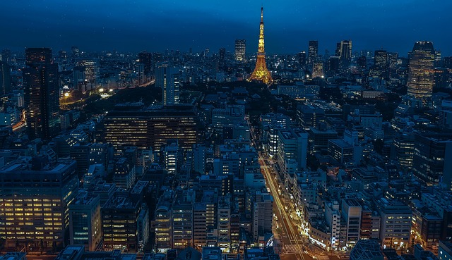 Tokyo Kulesi