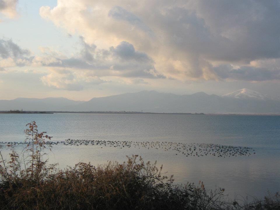 Vistonida Gölü