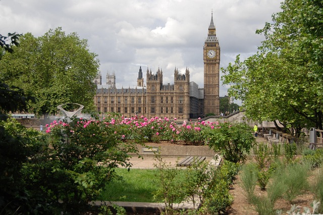 Westminster ve Thames Nehri