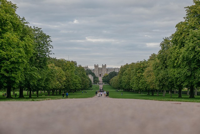 Windsor Sarayı