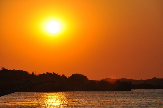 Zambezi Nehri